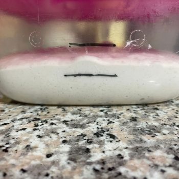 pizzafughipioppini-step2